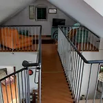 Cindro * Podstrana