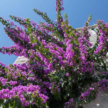 Cindro Appartamento Podstrana